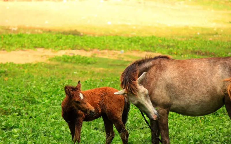 【精选问答】我发现老公和其他女人搞暧昧，他却不肯解释