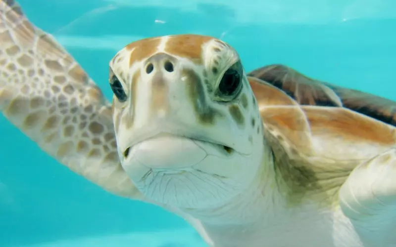 “自评6分，算是可爱的，圆脸没有棱角，生活中常被说长得娃气”