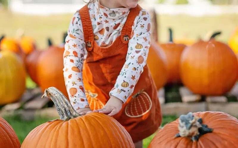 ?一首《感恩歌》?送?给?圈?里?的?朋?友！