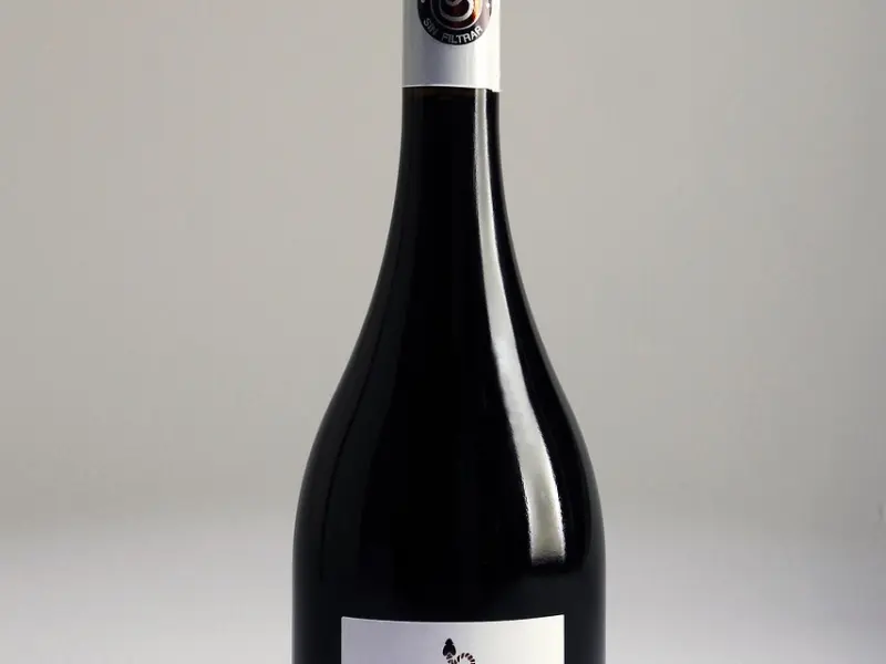 学长，前男友来我家提亲了，我很快就要结婚了