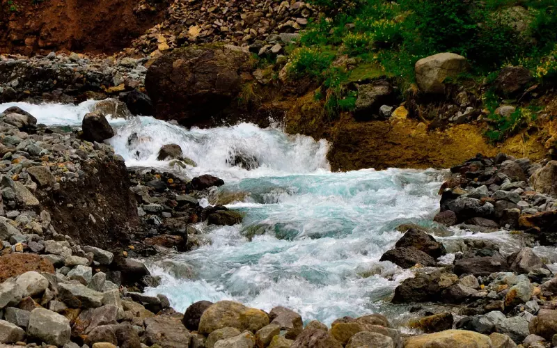 失恋了怎么办才能挽回男朋友句子(失恋了怎么发朋友圈挽回说说100字)