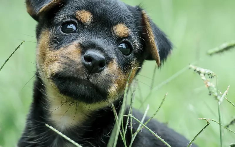 挽回男友的句子，句句催泪感人