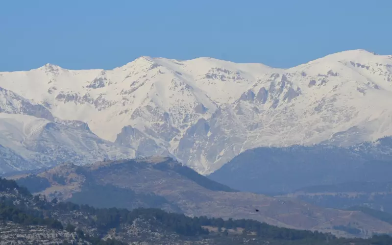 挽回金牛男友系列之和金牛座分手怎么挽回