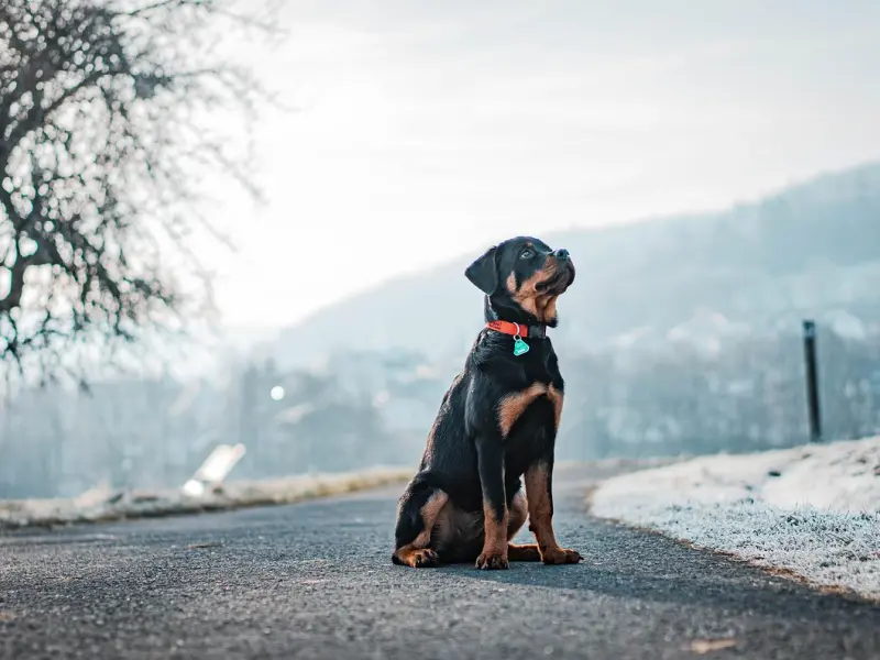 挽回女友系列：分手后挽回女友死缠烂打用错了方式，我该怎么挽回？
