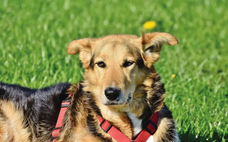 在情感挽回中需要避免和警惕的七种扭曲的认知习惯