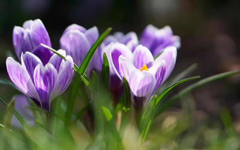 七段失败的爱情 100天的觉醒和感悟