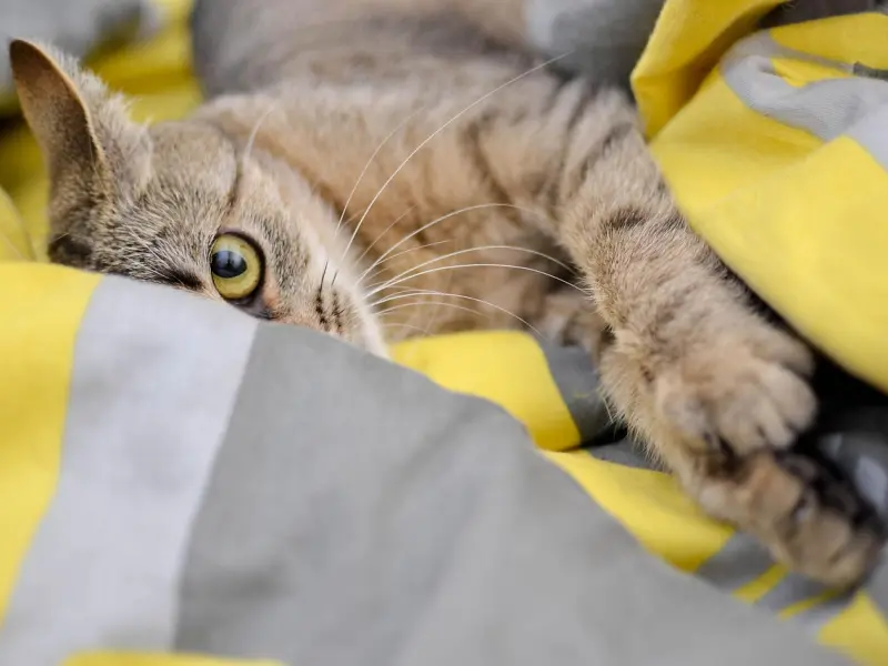 七大错误挽回方法：不能不看的挽回干货！