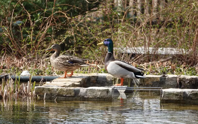 ?7年前他一贫如洗，天天早起为她煮粥，7年后他腰缠万贯，却对她说...