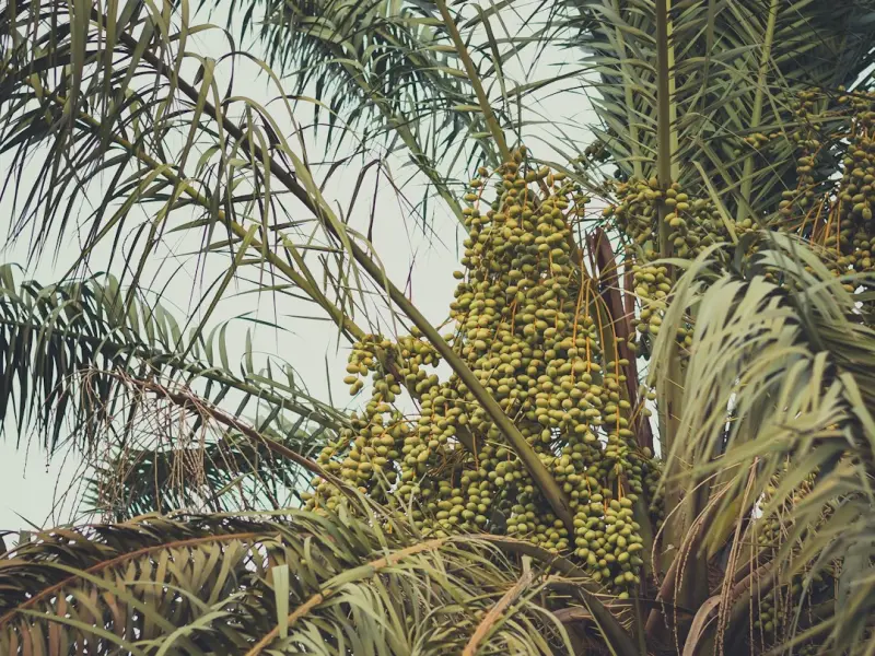 女人挽回的几个重点