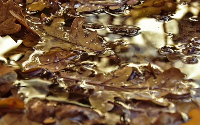 挽回断联的几种情况