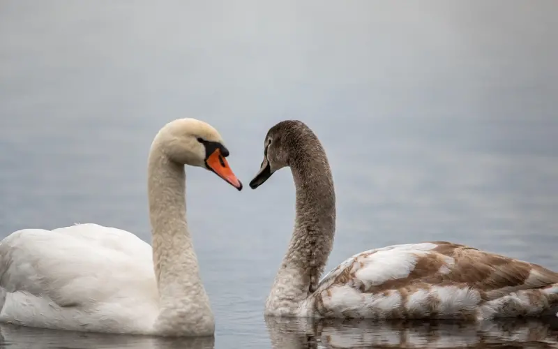 “性”不是婚姻的附属