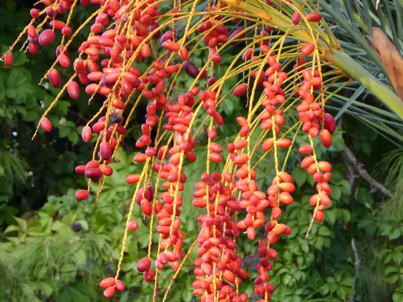 性|这几点解决你啪啪后的性疲劳