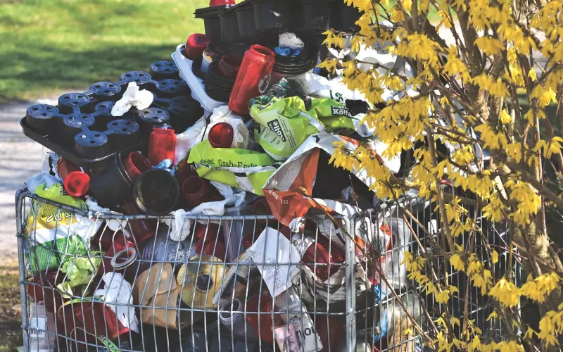 上海人：垃圾分类可以，谈恋爱你会吗？