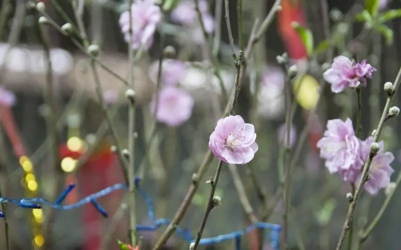 挽回前男友秘籍分享，学会了复合竟然如此简单