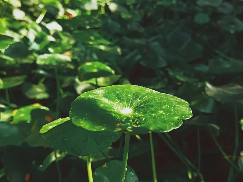 提高分手成本，挽回爱情的一些技巧分享