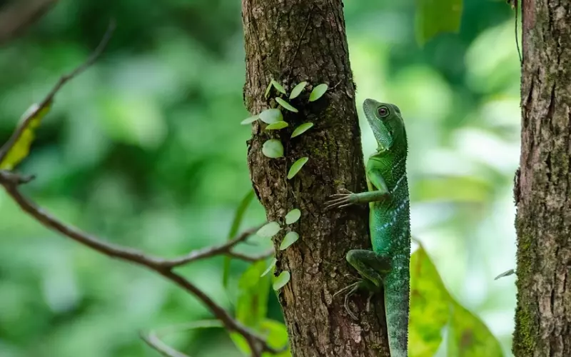 泰国师父分享之——龙婆yod