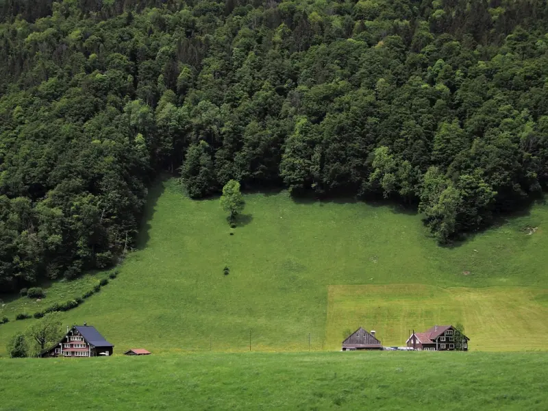 【分享】女人该过的日子