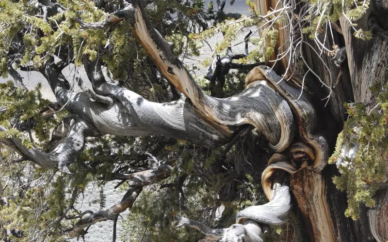 干货分享，情场老司机最常用的挽留女友的话