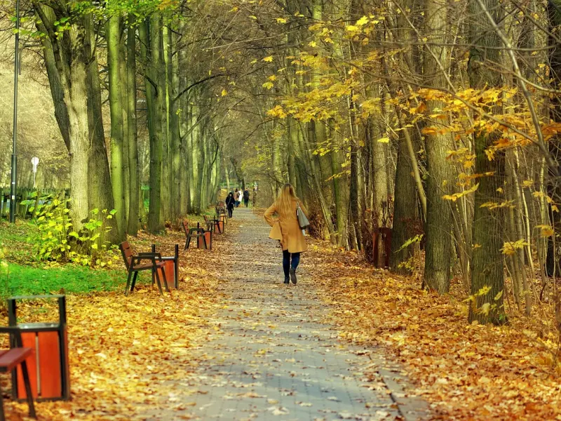 她已经走了，却被我留下来了