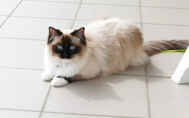 她不是最漂亮的却是你最爱的