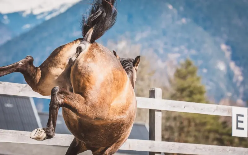 婚外恋欠下情债，小三讨分手费被驳回。