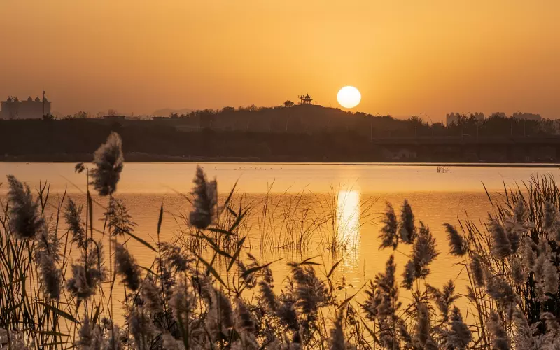 石家庄情感咨询：老公常年打工，老婆耐不住寂寞