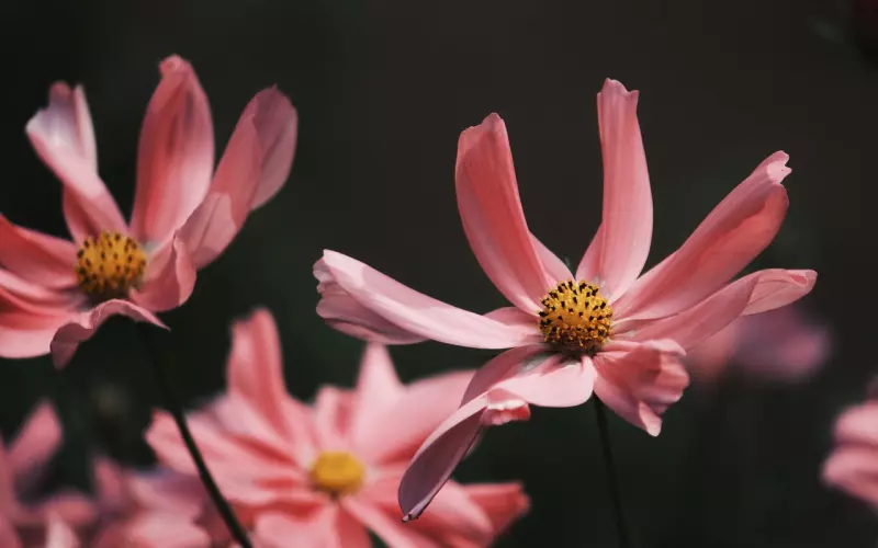 朋友圈简短戳心的说说短语 句句戳中心底里