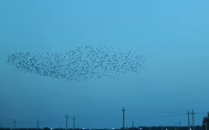 女生该不该找前男友复合？这几类情况不要复合！