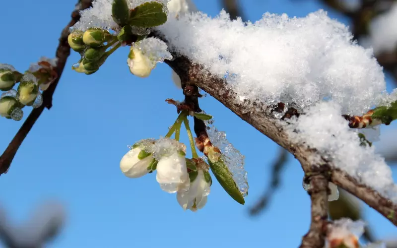 男友被新女友甩了又来追我该接受吗
