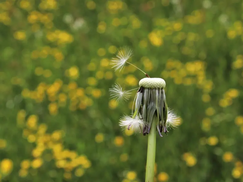 挽回要不要每天找他聊天？
