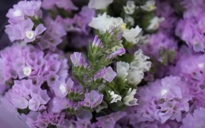 和男友分手后要不要断绝联系？