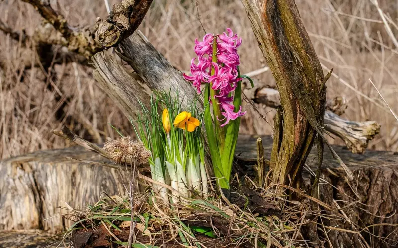 挽回该不该死缠烂打