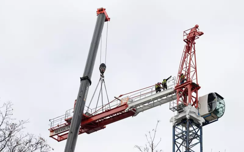 该不该为了男友放弃工作回老家？