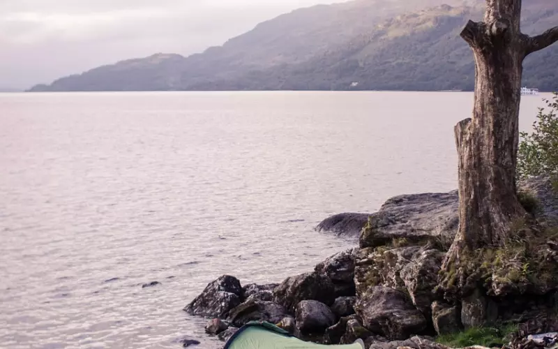 这婚离不离?咱说的都不算……