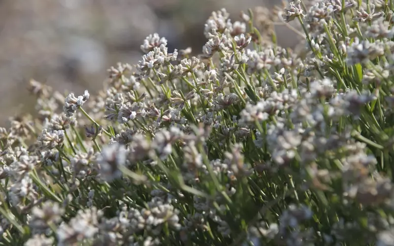 挽回爱情到底该不该用低姿态挽回？为什么大家都想要高位挽回？