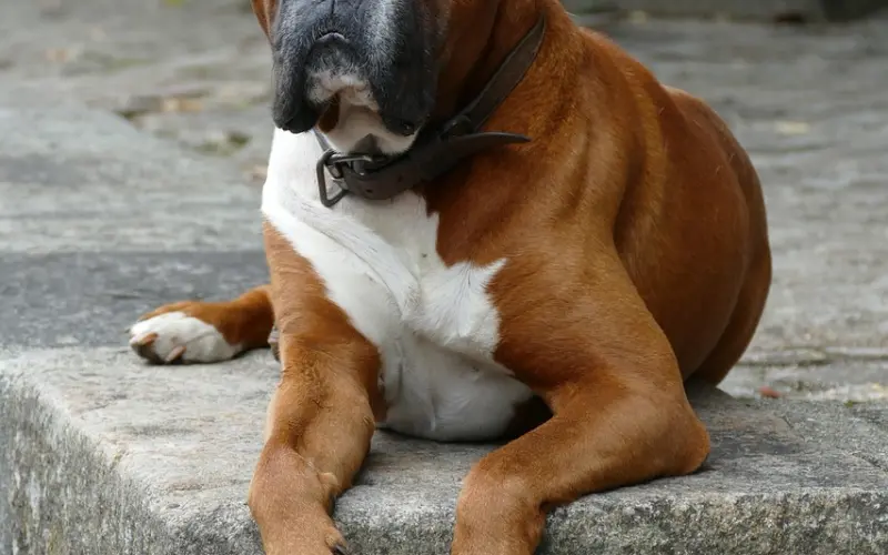 是选择喜欢自己的，还是等待对的人？