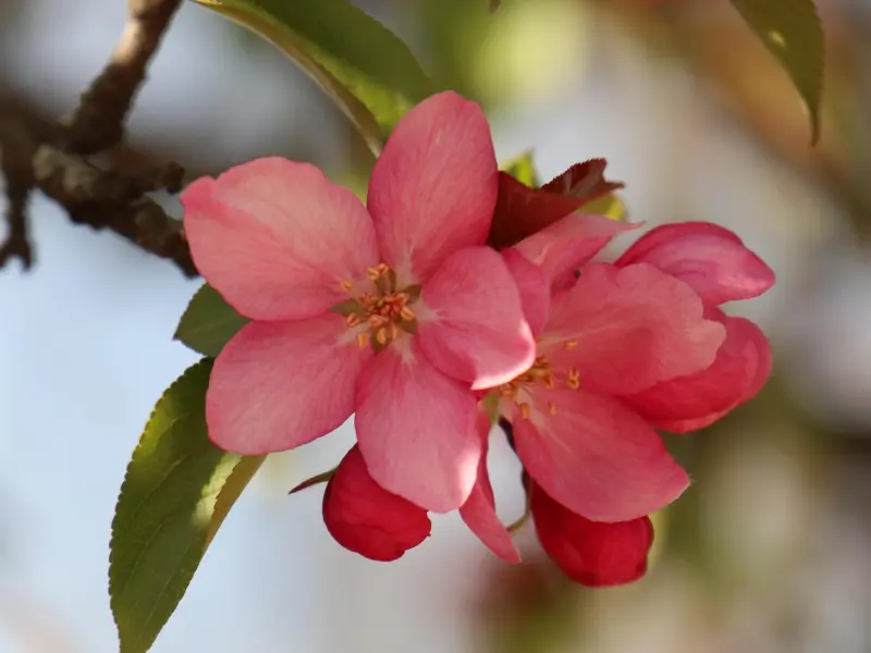 分手后该不该挽回前任，这一剂治疗失恋创伤的良药，也许是你需要的