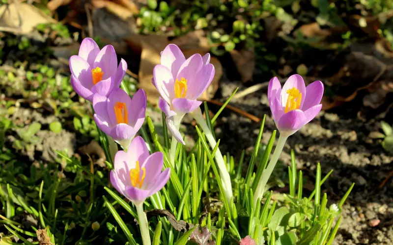 挽回男友之预示着分手的征兆，看看你有没有中招