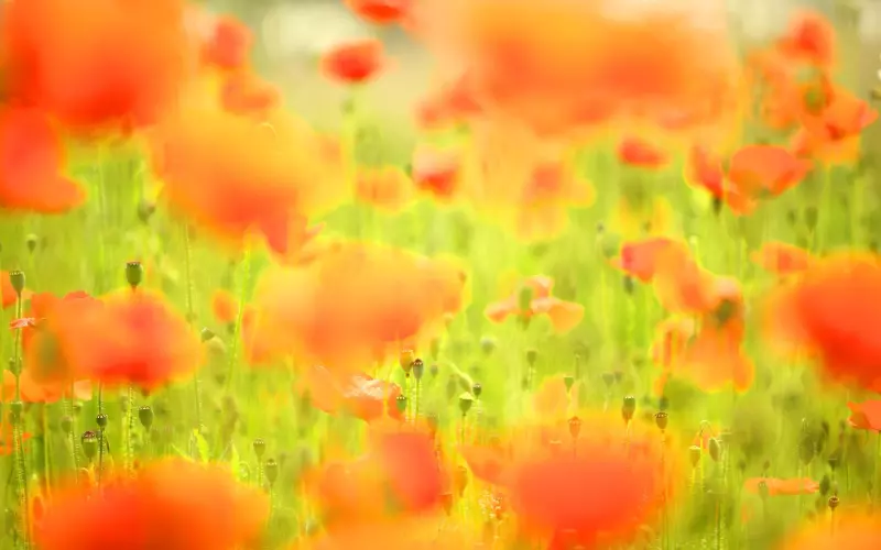 男友想彻底分手的表现