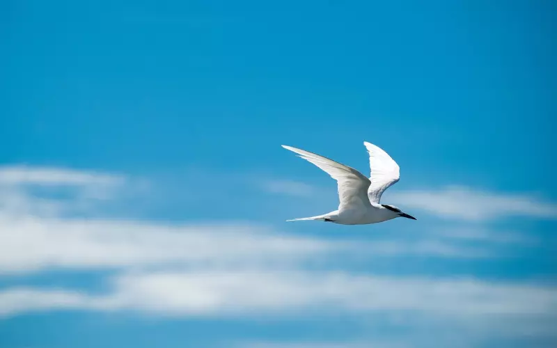 前男友会回头的征兆