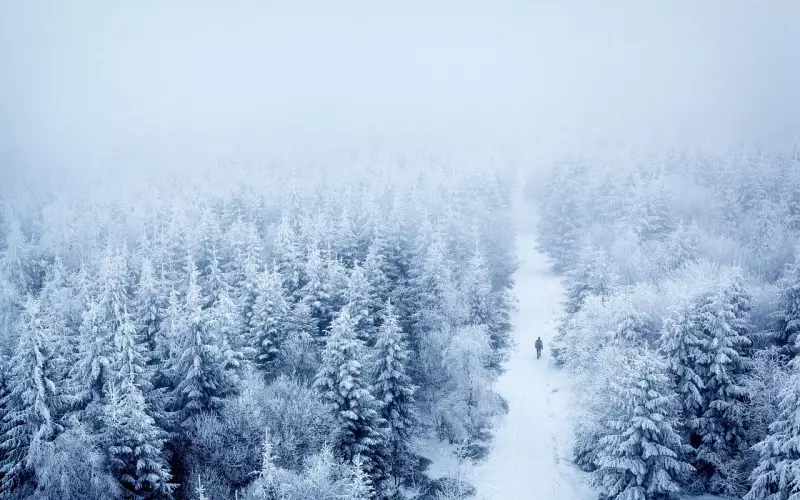沉默是一个人最大的委屈......