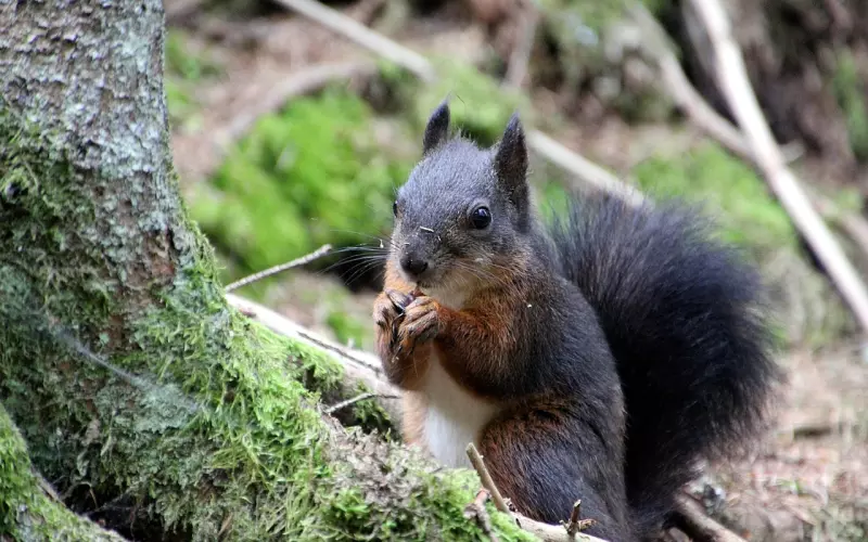 朋友圈致自己简单窝心的短句子，让人忍不住点赞
