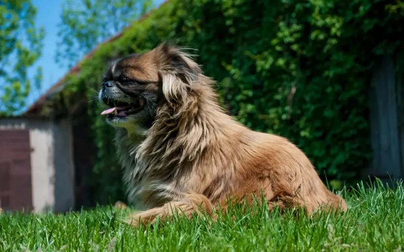 【单身定制】8.2让我们欢乐“嫁个北京人”