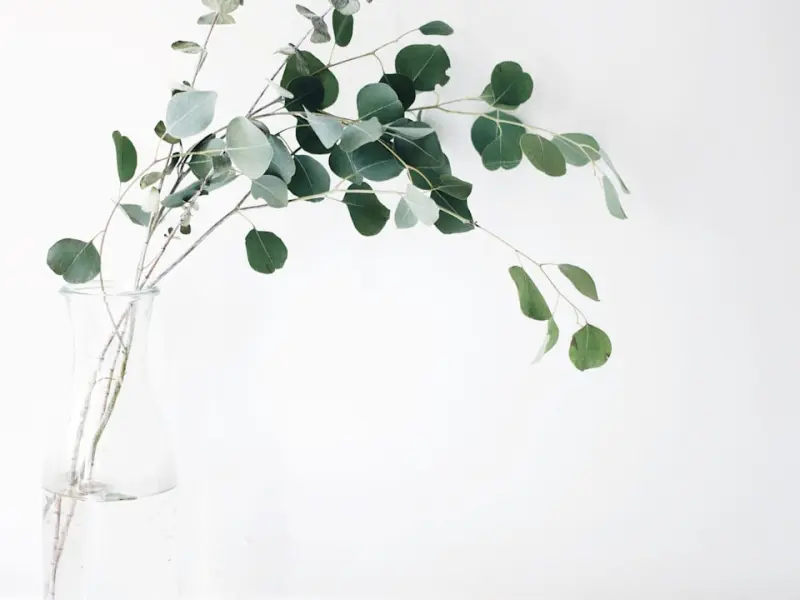 【单身推荐】会员 ID:77685974