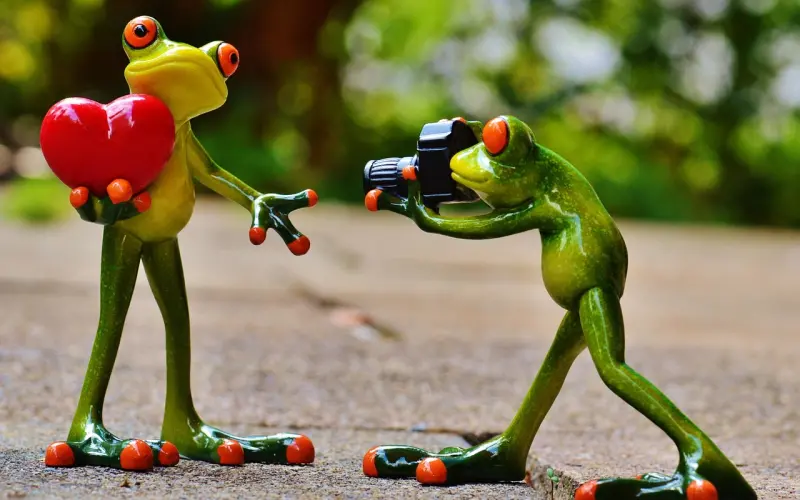 【单身故事】魔都互联网运营小哥，小文艺爱旅游会拍照！