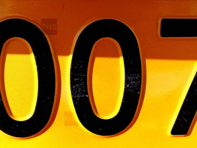 【单身故事】给我一个安定的家