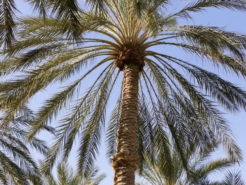 【单身故事】没有永远被爱的爱情