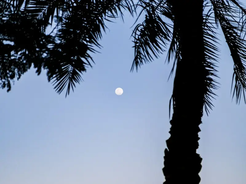 脱单活动 | 连接五座城市，谈一场恋爱