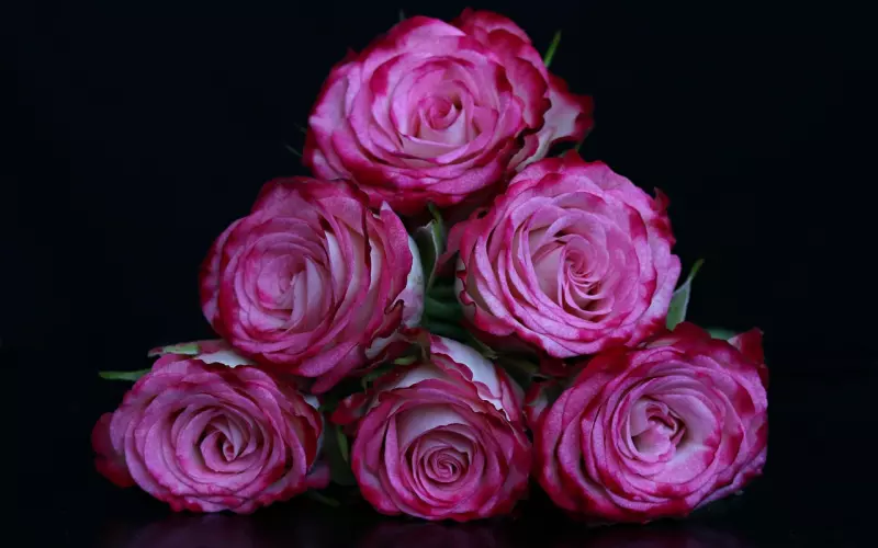 约会应该注意的六个细节