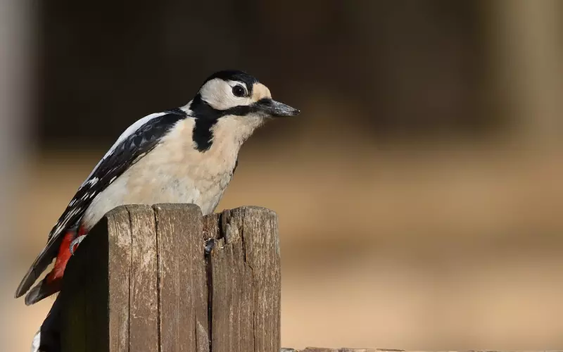 婚外情的六种结局……